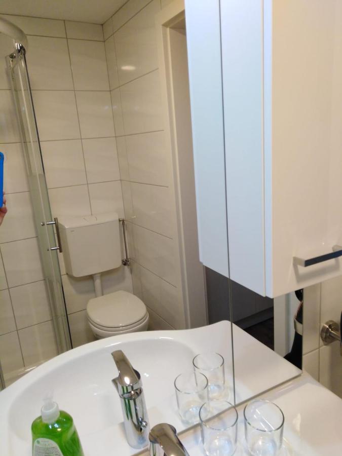 Ferienhaus Bauer Wohnung 2 Trattenbach  Ngoại thất bức ảnh